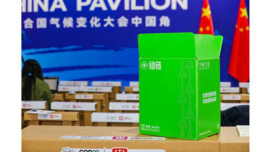 COP29中国角数字化日：阿里巴巴展示AI降碳新路径