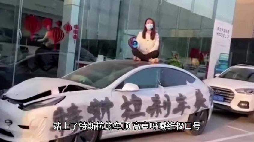 特斯拉“车顶维权”案胜诉：一审法院驳回车主全部诉讼请求