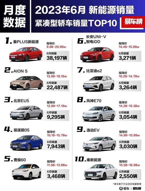 6月新能源汽车销量排行榜解读