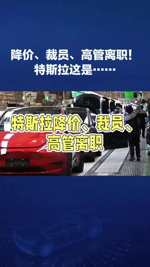 特斯拉中国高管：国产化率目标已基本达成，未来降价空间不大