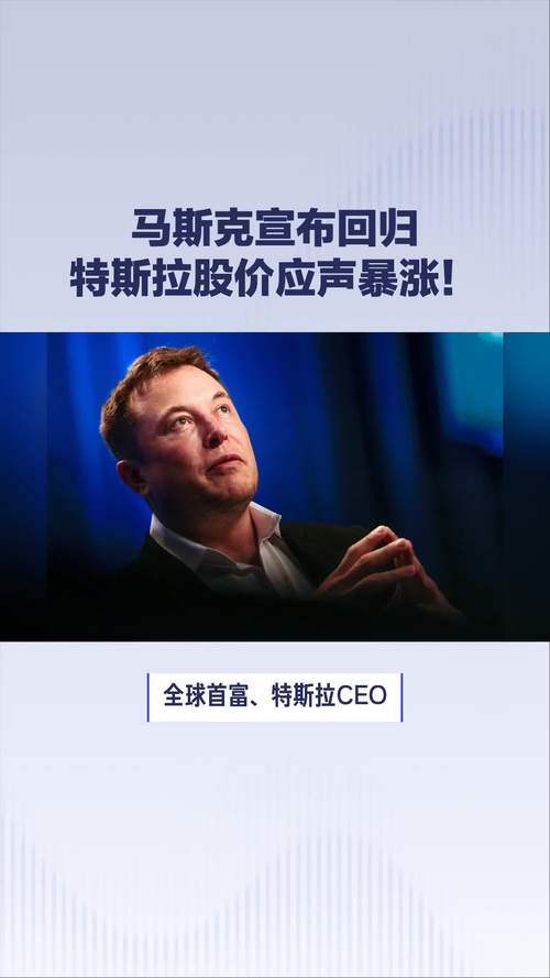 马斯克建议巴菲特买特斯拉股票