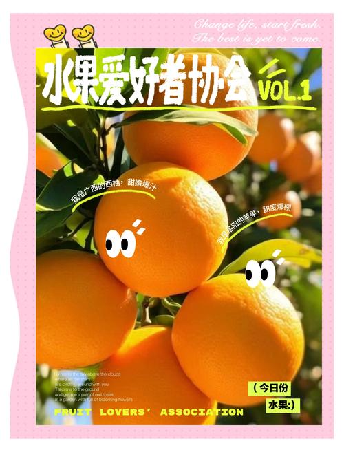 橙子引领潮流！—— The European Art of Taste 全新视频上线