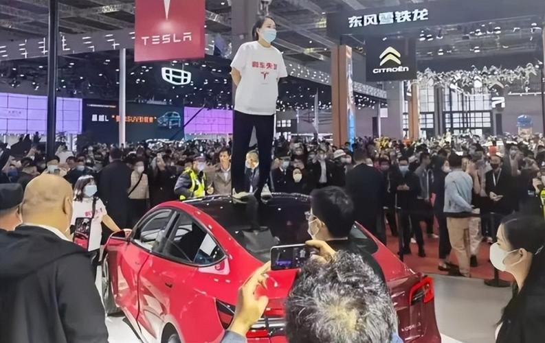 特斯拉车主车展维权 海霞：应启动权威扎实调查回应消费者