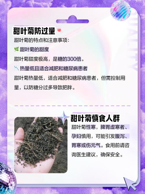 PureCircle最新培育的甜菊叶提供了显著的生产力优势