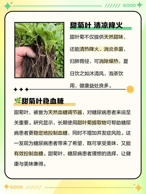 PureCircle最新培育的甜菊叶提供了显著的生产力优势