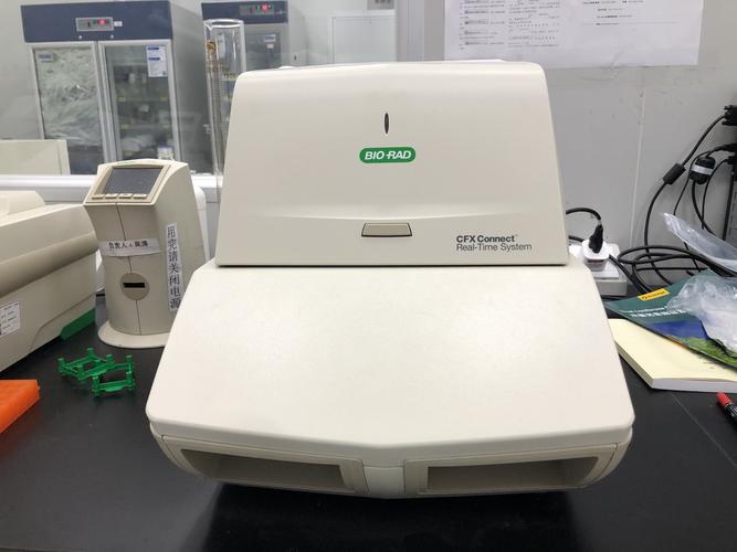 GMO Research将推出新的服务品牌“MO Lite”