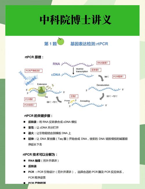 Taconic Biosciences推出Cage+,为现代实验室重新定义动物群管理解决方案