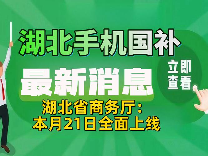 最高8000元!湖北一地明确补贴标准