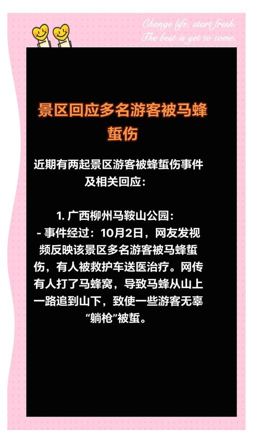 马蜂窝陈罡:疫情让整个旅游业重新洗牌,很多中小企业面临离场