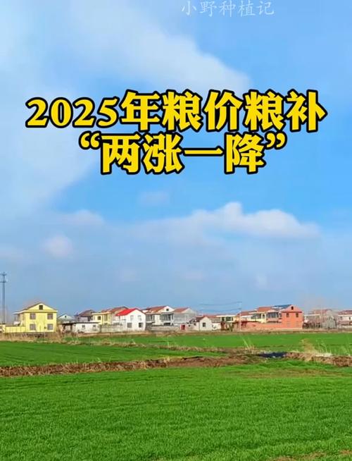 就地一转化粮食抬“身价”