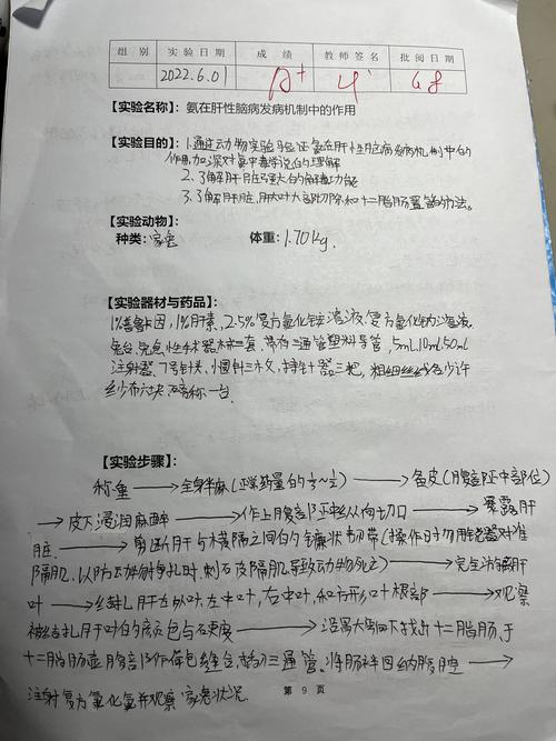 Yaqrit准备进行用氨清除剂治疗肝性脑病的第3阶段试验