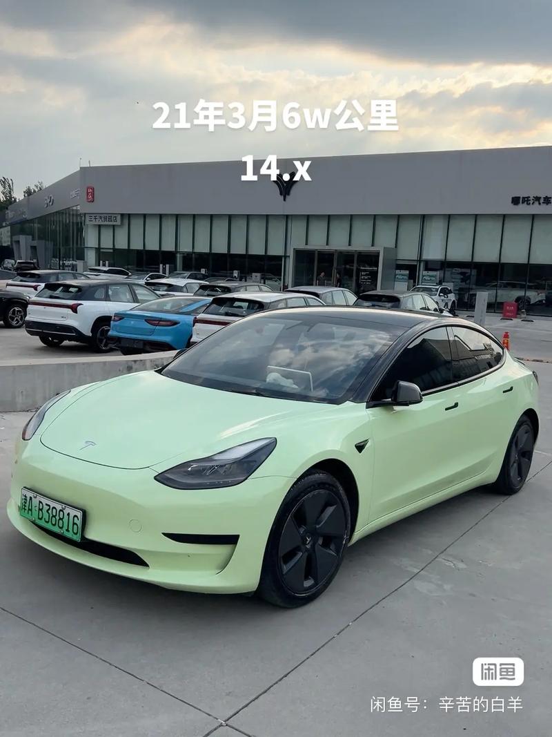 闲鱼上的特斯拉