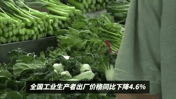 10月份北京CPI同比上涨2.0% 鲜菜价格由降转涨