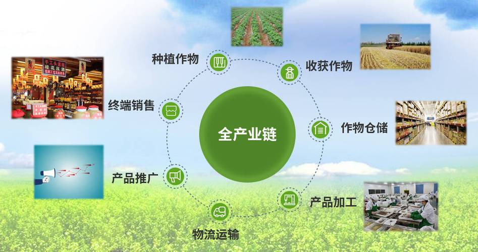 让农业搭上“互联网”快车