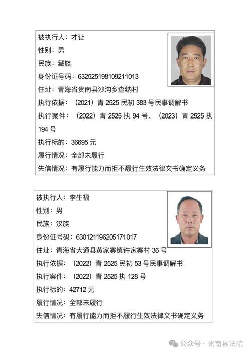 海南瑞泽实控人被列入失信被执行人名单