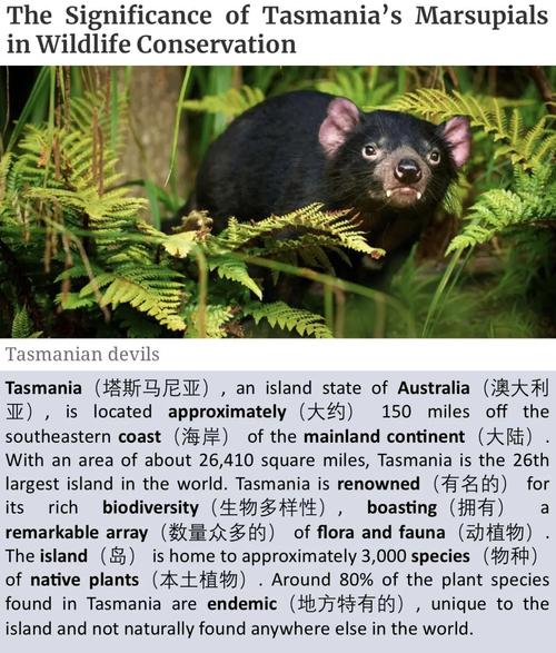 塔科尼克生物科学指定Nomura Siam担任印度所有塔科尼克动物模型分销商
