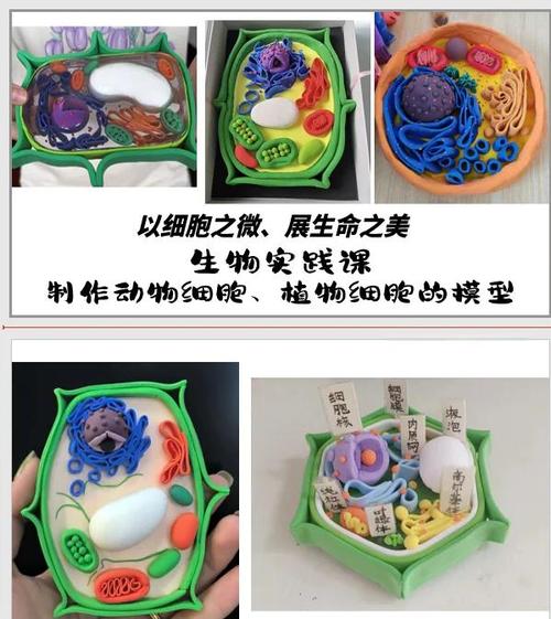 推出定制微生物组结构动物模型