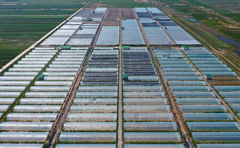 热爆了!40℃+高温席卷百万平方公里 耕地受旱达1232万亩 上市公司连发停产公告!