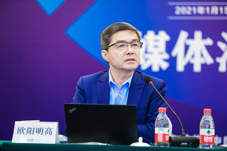 欧阳明高：我国在新能源结构性创新上具有优势