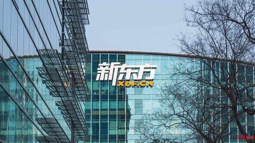 新东方关停K9 发力游学与大学生业务