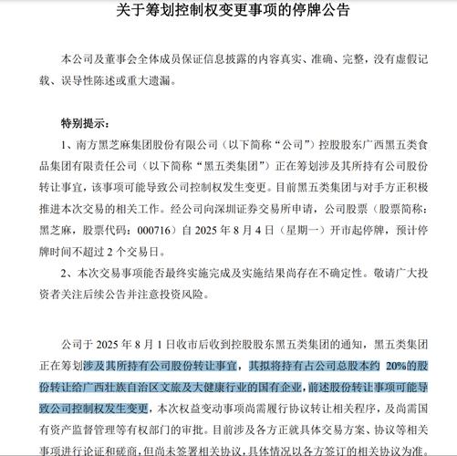 实控人等非经营性占用资金 黑芝麻收深交所监管函