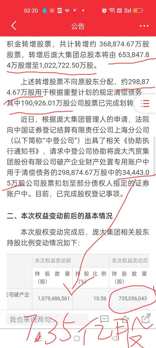 庞大集团“易主” 重整投资进入关键期