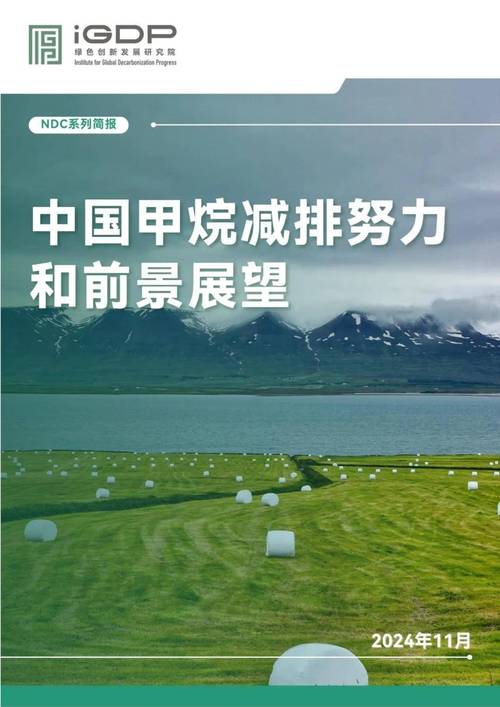 甲烷排放仍是油气行业难以应对的挑战