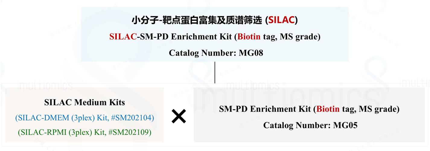 Biognosys在2024 年美国质谱学会年会上推出突破性的 P2 血浆富集技术