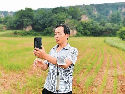 直播促销路农民变“网红”