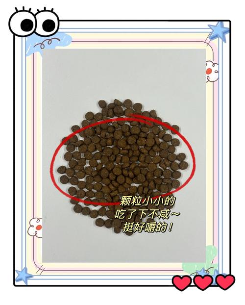 Duck Creek Technologies 委任美国退役上将为董事会成员