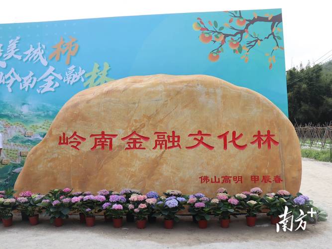 岭南金融文化大使花落谁家？ 十强展风采 终决PK即将开启