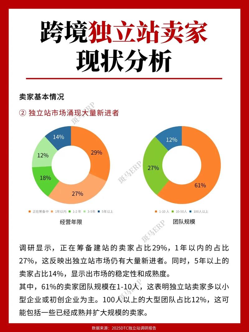 跨境电商“一家独大”影响几何