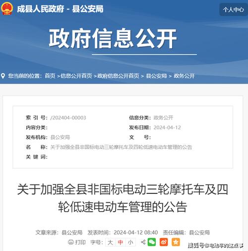 两年过渡期 海南省发布低速电动车管理新政