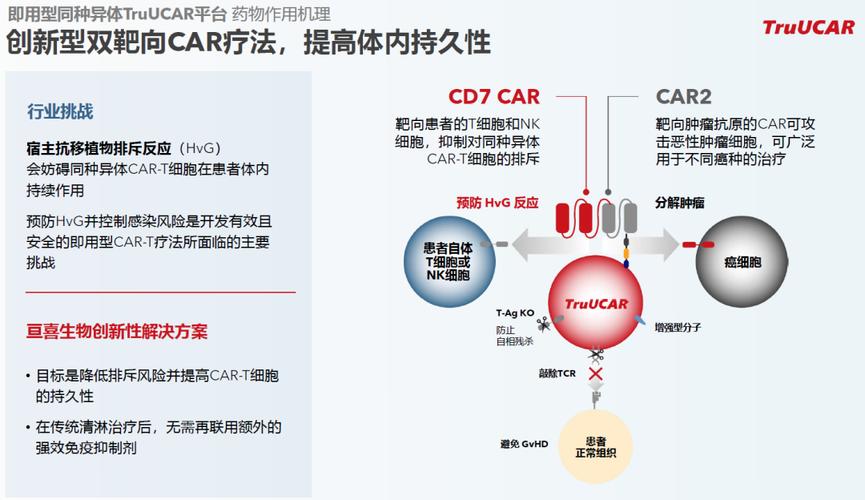 亘喜生物宣布FasTCAR-T GC012F治疗难治性系统性红斑狼疮的12期新药